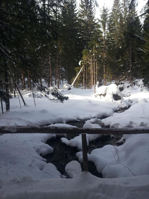 Ubytovanie Marta Vavrekova Habovka Exterior foto